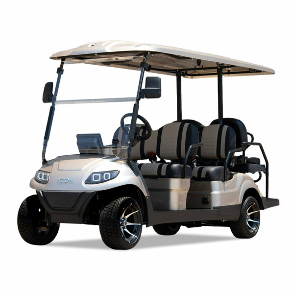 6 passenger golf cart